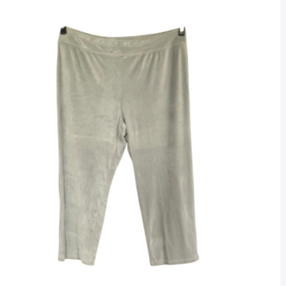 Offer$10 Sportelle gray velour velvet soft comfy pull on pant 2X